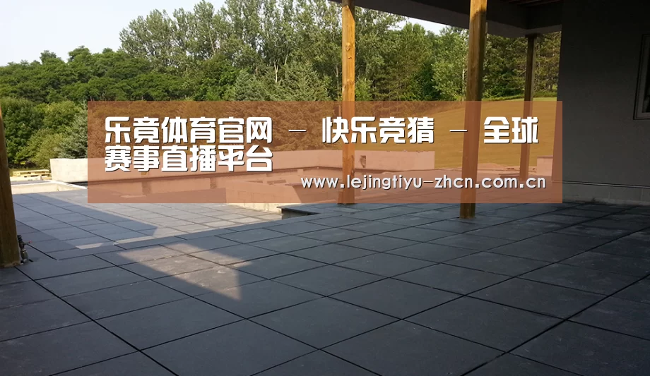 多伦多别墅花园(图2)