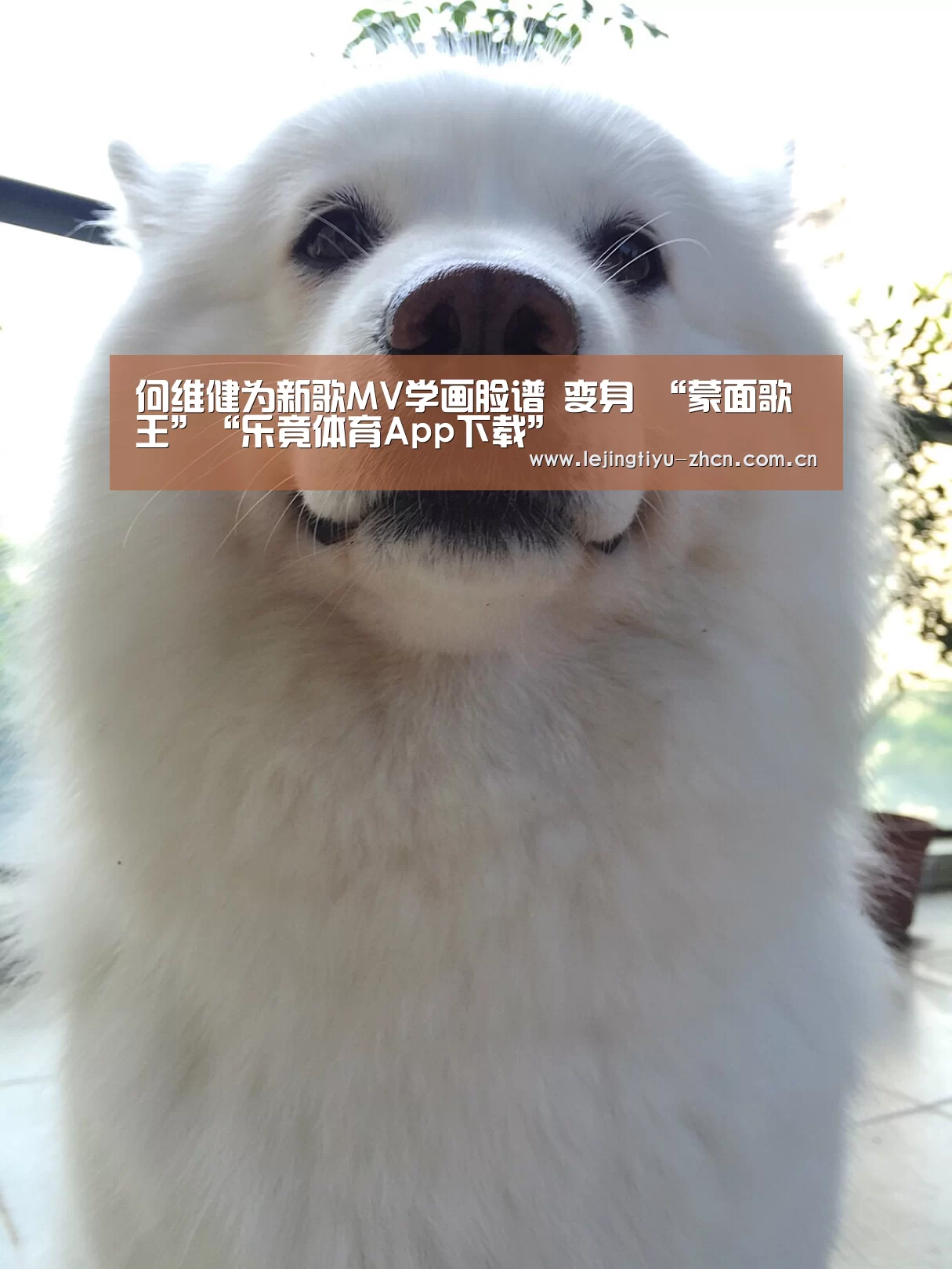 乐竟体育App下载