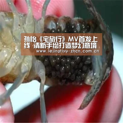 乐竟体育App下载